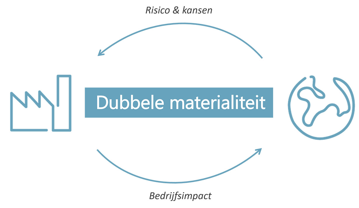 Dubbele materialiteit